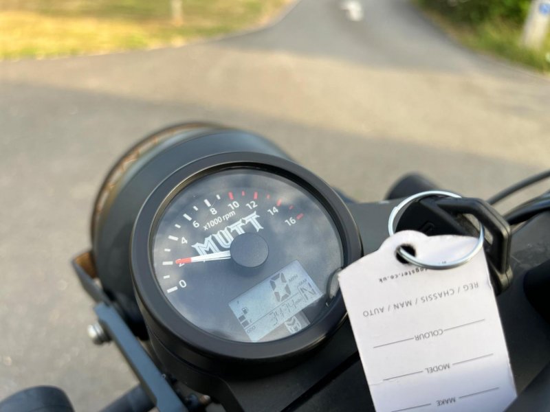 MUTT MONGREL 125