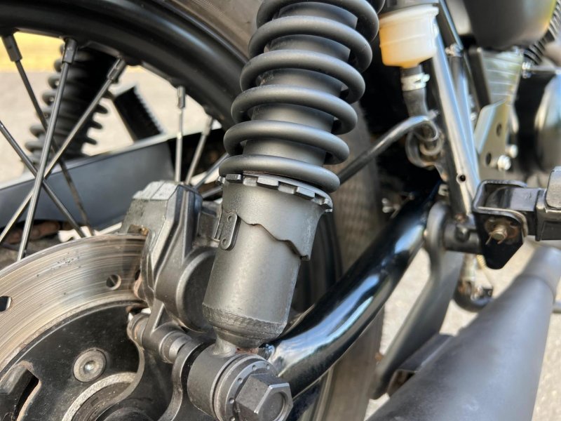 MUTT MONGREL 125