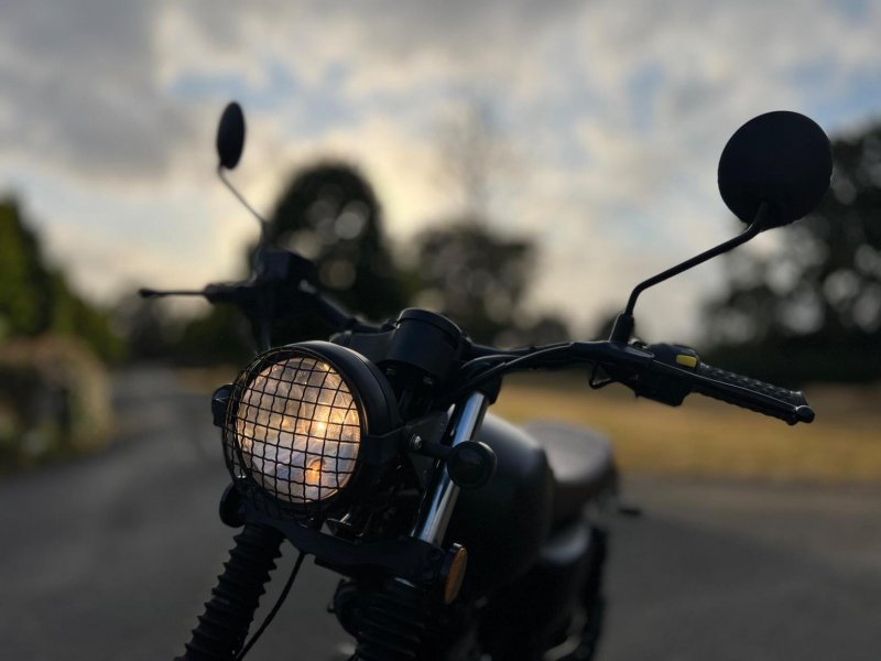 MUTT MONGREL 125